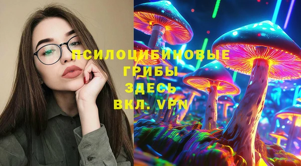 а пвп мука Надым