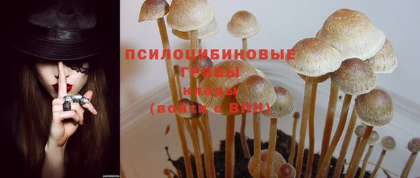 герыч Михайловск