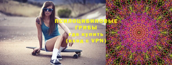 не бодяженный Михайлов