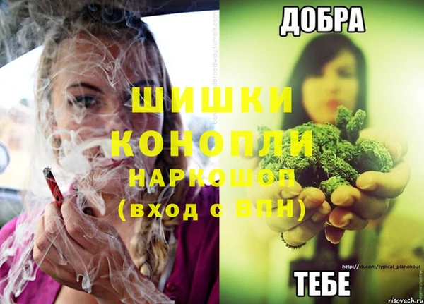 PSILOCYBIN Михайловка