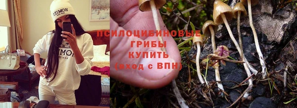а пвп мука Надым