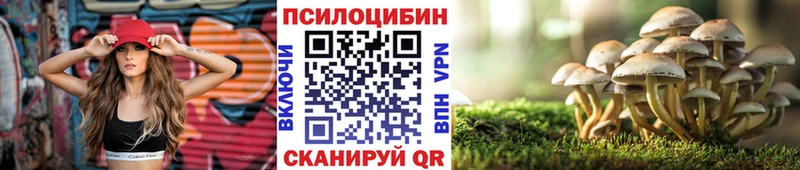 площадка какой сайт  Россошь  Псилоцибиновые грибы прущие грибы  купить  сайты 