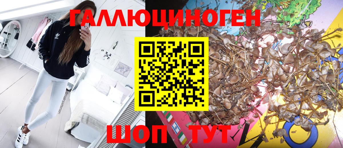 Россошь  Галлюциногенные грибы GOLDEN TEACHER  Вход с VPN 